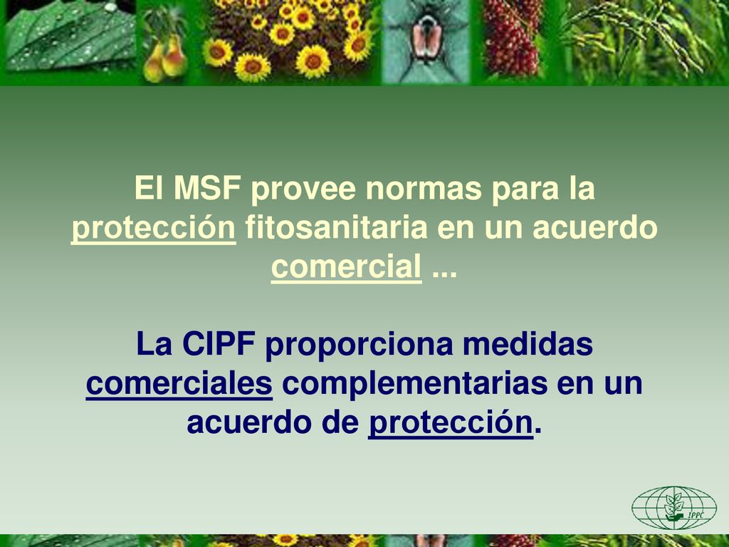 El MSF provee normas para la protección fitosanitaria en un acuerdo comercial ...