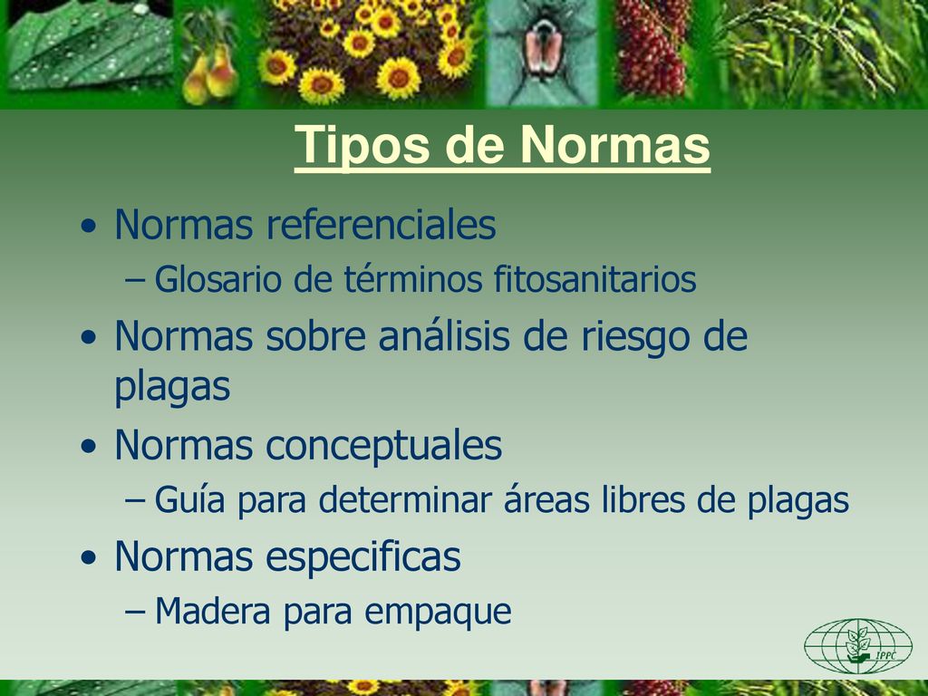 Tipos de Normas Normas referenciales