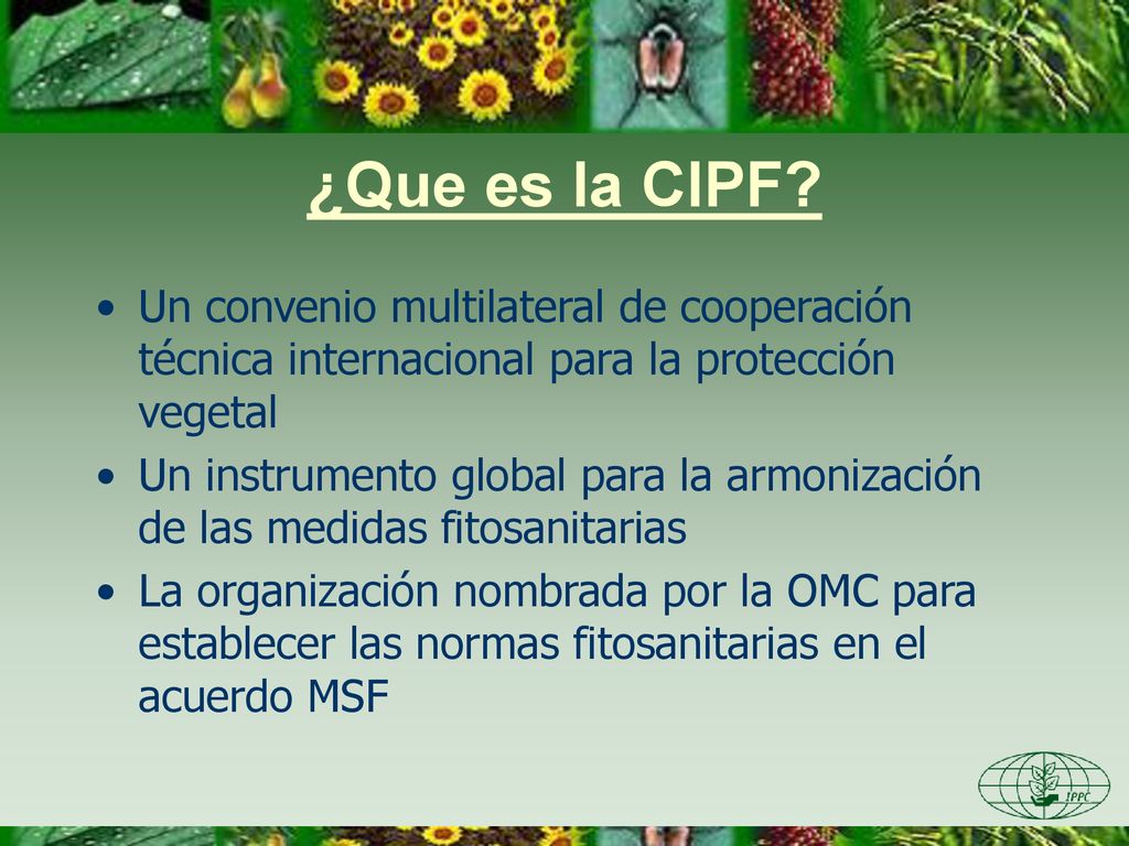 ¿Que es la CIPF Un convenio multilateral de cooperación técnica internacional para la protección vegetal.