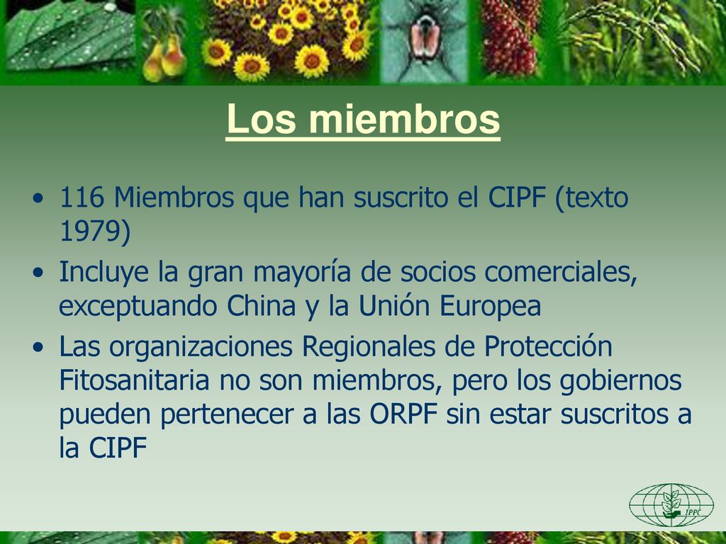 Los miembros 116 Miembros que han suscrito el CIPF (texto 1979)