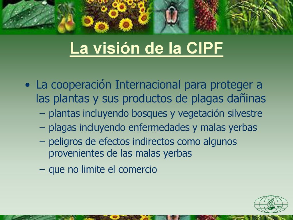 La visión de la CIPF La cooperación Internacional para proteger a las plantas y sus productos de plagas dañinas.
