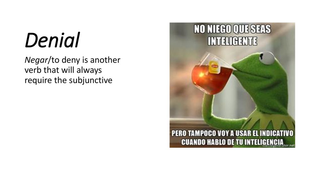 Denial Negar/to deny is another verb that will always require the subjunctive