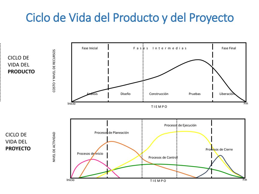 Ciclo de Vida del Producto y del Proyecto