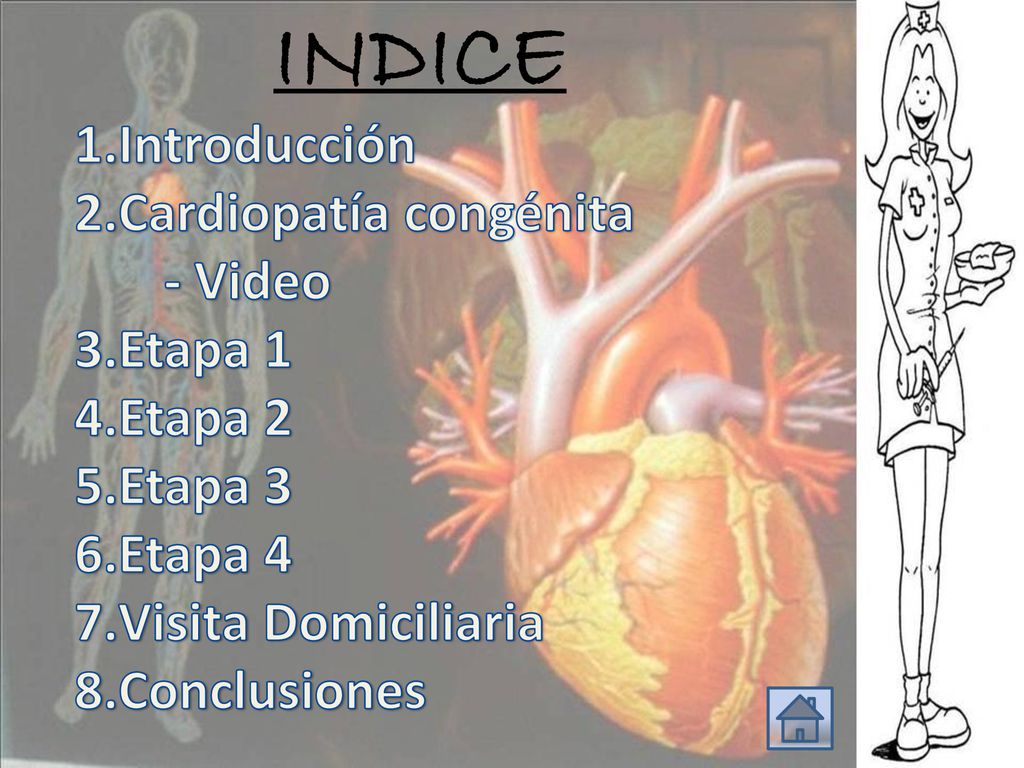 INDICE Introducción Cardiopatía congénita - Video Etapa 1 Etapa 2
