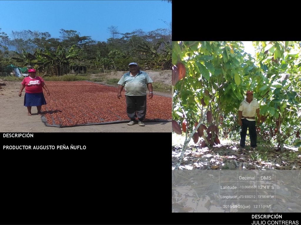 DESCRIPCIÓN PRODUCTOR AUGUSTO PEÑA ÑUFLO DESCRIPCIÓN JULIO CONTRERAS
