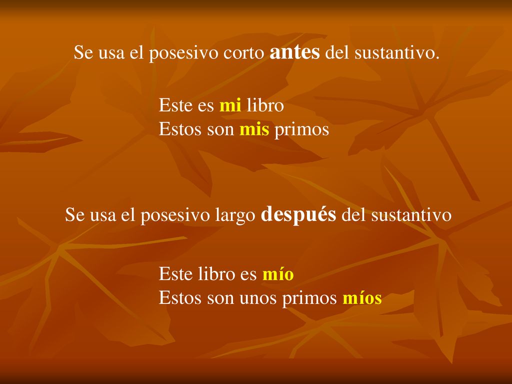 Se usa el posesivo corto antes del sustantivo.