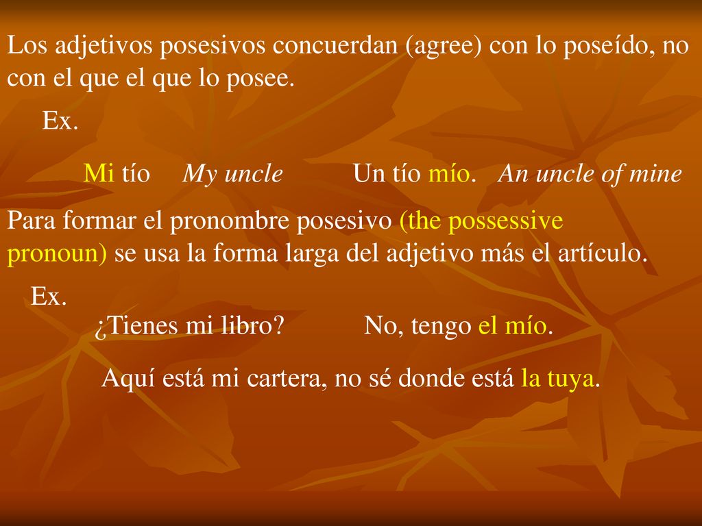 Los adjetivos posesivos concuerdan (agree) con lo poseído, no con el que el que lo posee.
