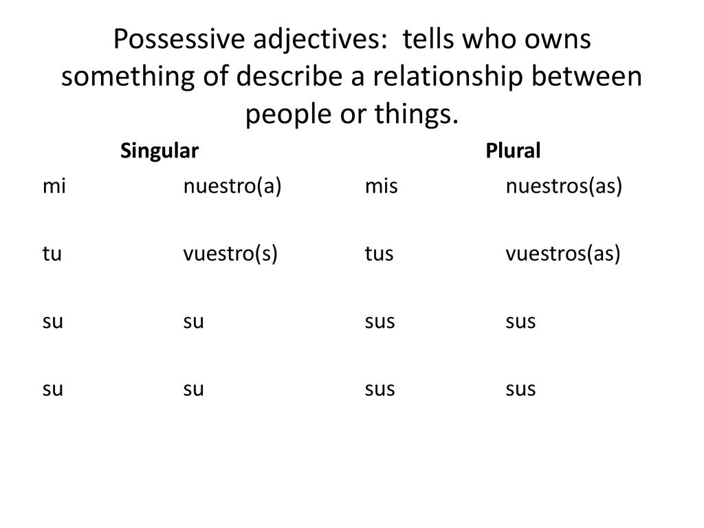 Possessive adjectives: tells who owns something of describe a relationship between people or things.