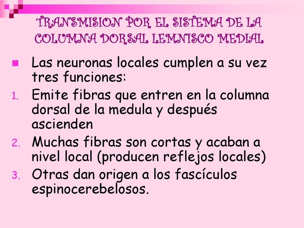 TRANSMISION POR EL SISTEMA DE LA COLUMNA DORSAL LEMNISCO MEDIAL