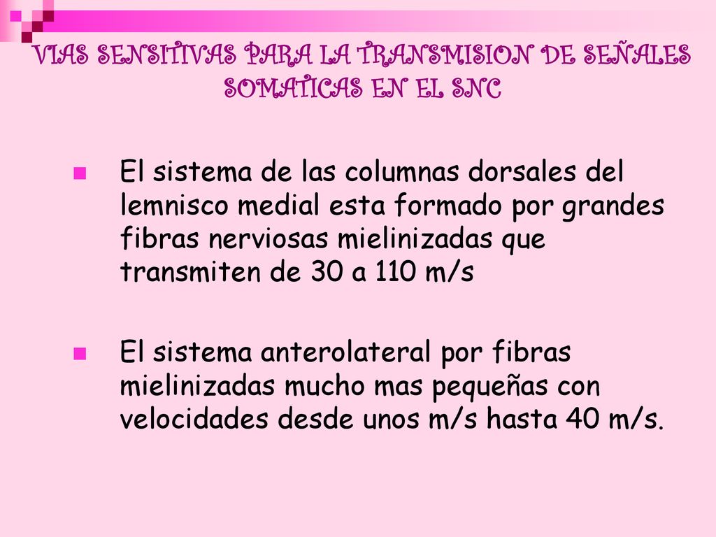 VIAS SENSITIVAS PARA LA TRANSMISION DE SEÑALES SOMATICAS EN EL SNC