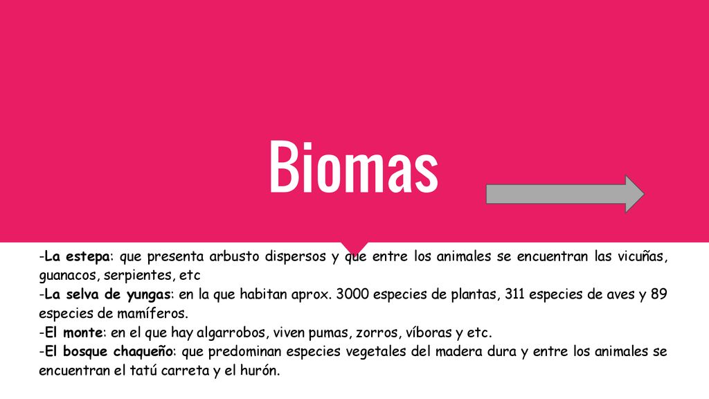 Biomas -La estepa: que presenta arbusto dispersos y que entre los animales se encuentran las vicuñas, guanacos, serpientes, etc.