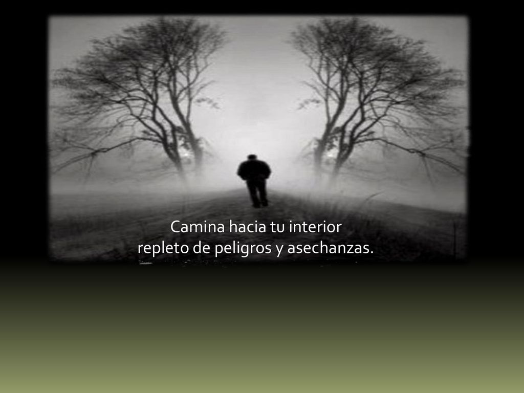 Cuaresma es tiempo de desierto Camina hacia tu interior