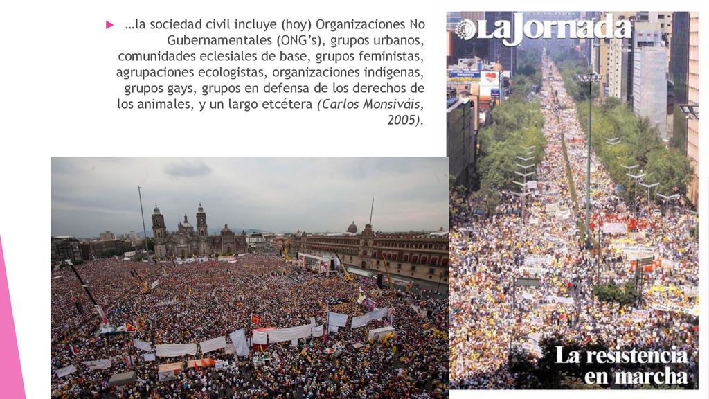…la sociedad civil incluye (hoy) Organizaciones No Gubernamentales (ONG’s), grupos urbanos, comunidades eclesiales de base, grupos feministas, agrupaciones ecologistas, organizaciones indígenas, grupos gays, grupos en defensa de los derechos de los animales, y un largo etcétera (Carlos Monsiváis, 2005).