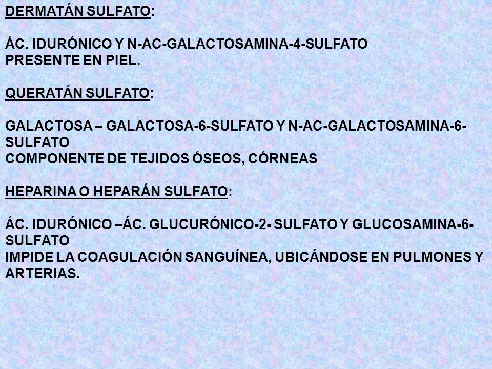DERMATÁN SULFATO: ÁC. IDURÓNICO Y N-AC-GALACTOSAMINA-4-SULFATO. PRESENTE EN PIEL. QUERATÁN SULFATO: