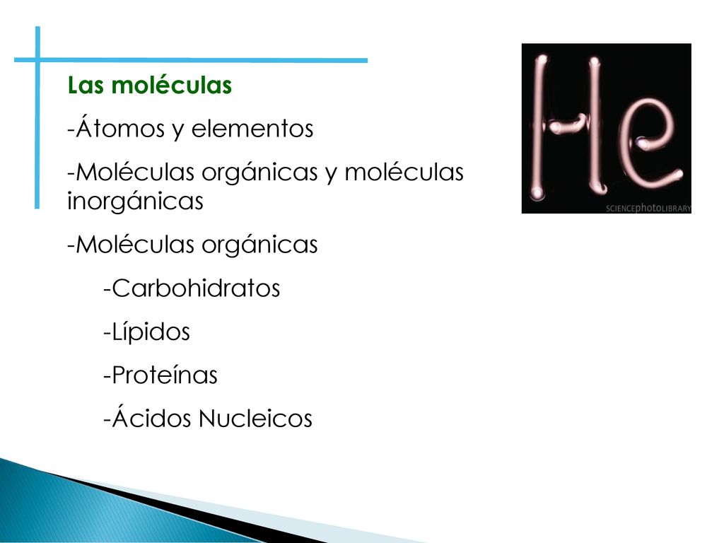Las moléculas Átomos y elementos. Moléculas orgánicas y moléculas inorgánicas. Moléculas orgánicas.