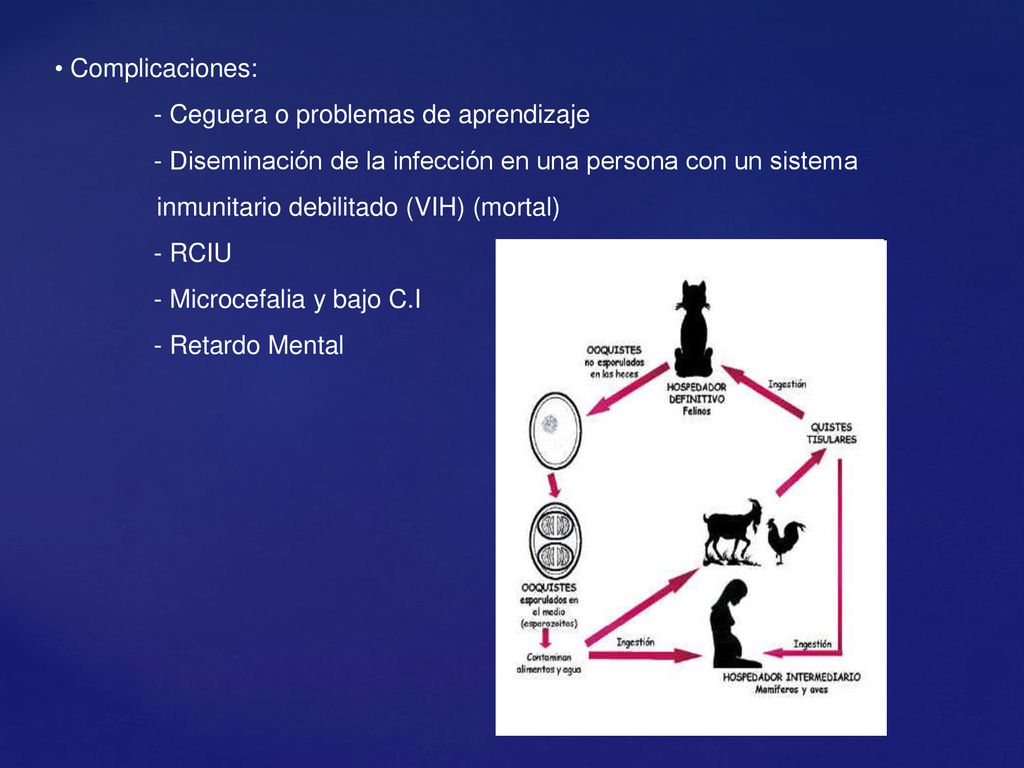 Complicaciones: - Ceguera o problemas de aprendizaje. - Diseminación de la infección en una persona con un sistema.