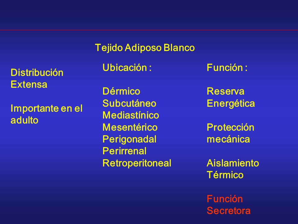 Tejido Adiposo Blanco Ubicación : Dérmico. Subcutáneo. Mediastínico. Mesentérico. Perigonadal.