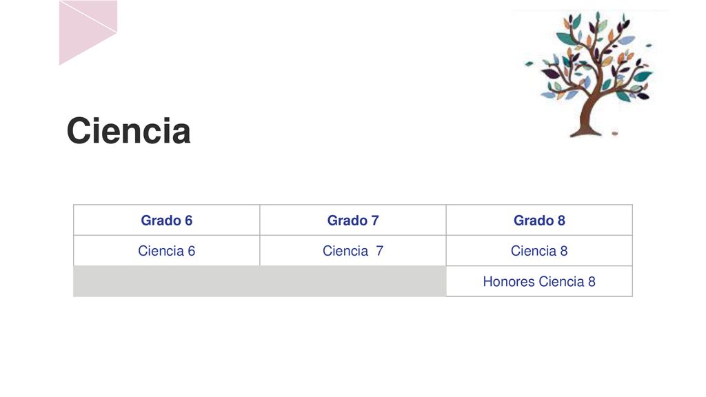 Ciencia Grado 6 Grado 7 Grado 8 Ciencia 6 Ciencia 7 Ciencia 8