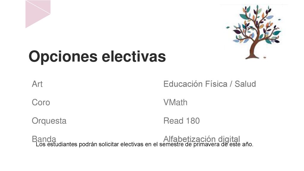 Opciones electivas Art Coro Orquesta Banda Educación Física / Salud