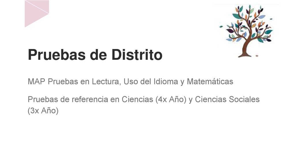 Pruebas de Distrito MAP Pruebas en Lectura, Uso del Idioma y Matemáticas.