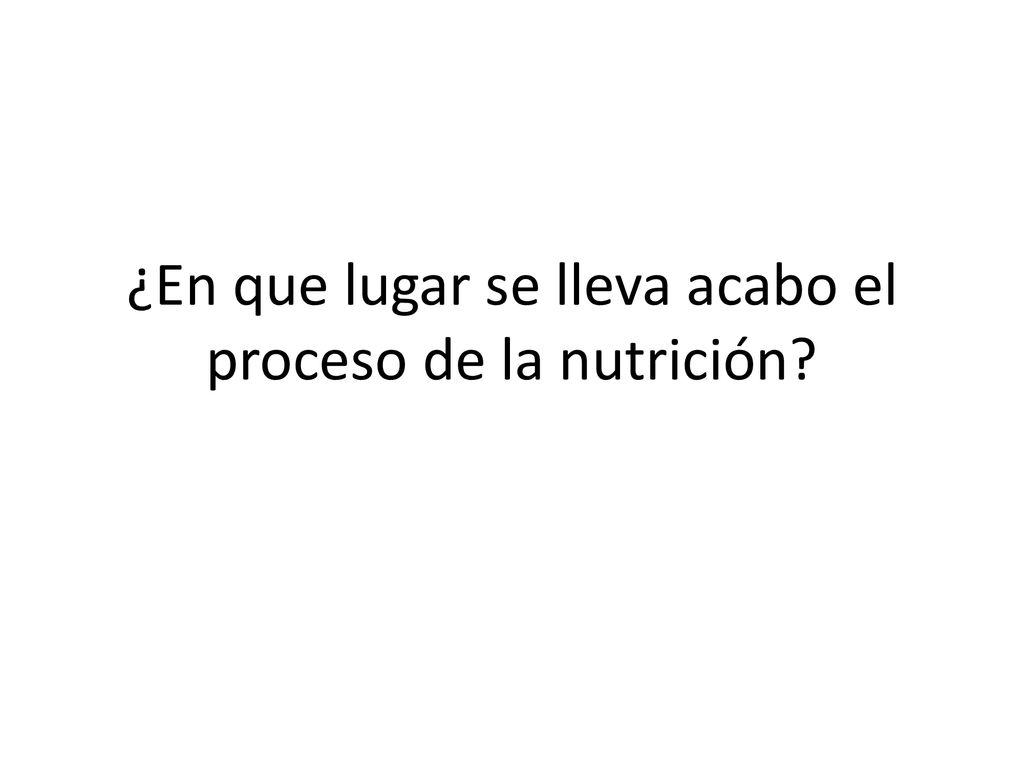 ¿En que lugar se lleva acabo el proceso de la nutrición