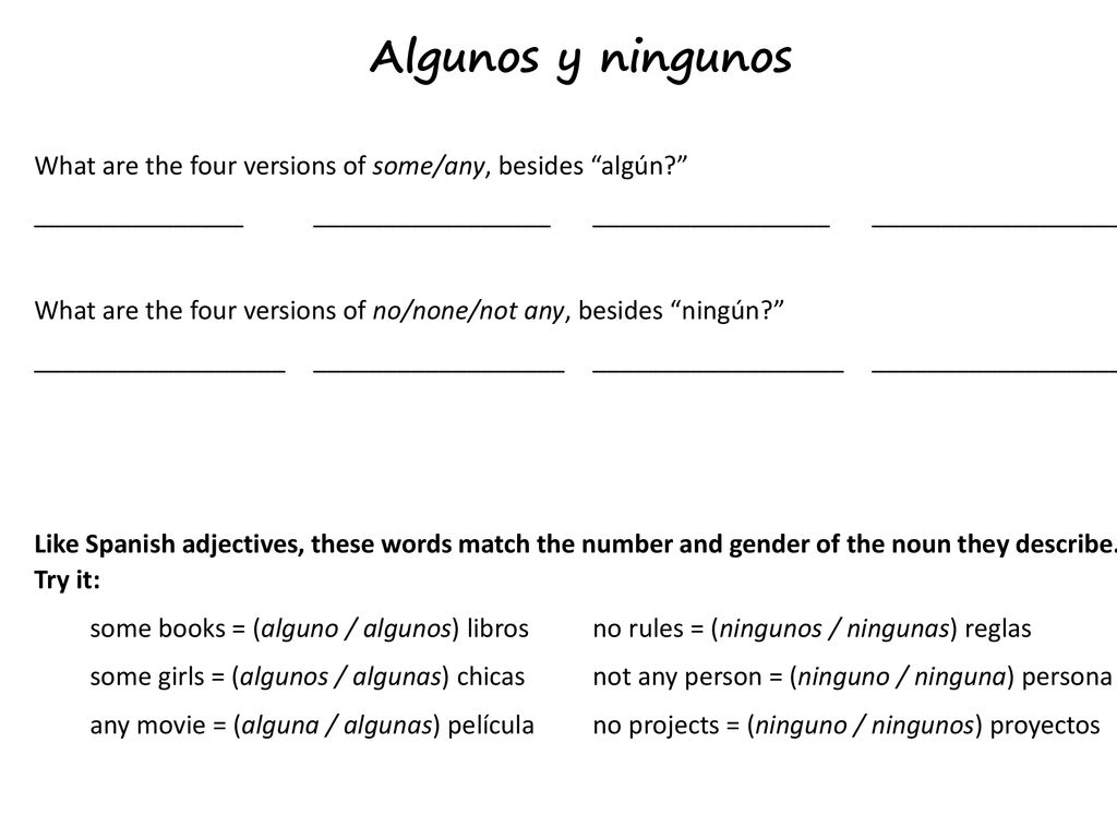 Algunos y ningunos What are the four versions of some/any, besides algún