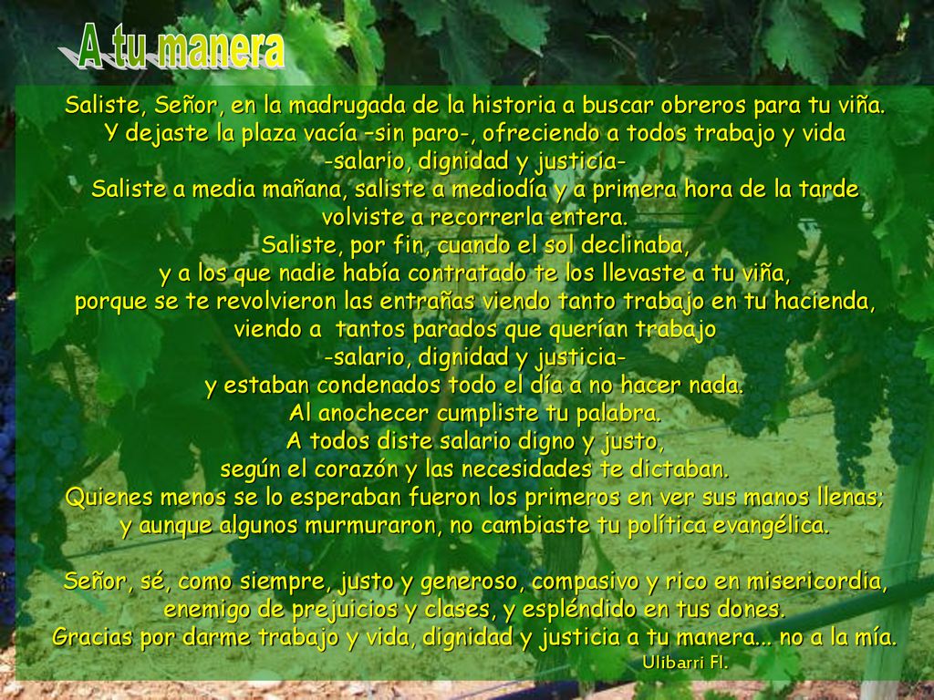 A tu manera Saliste, Señor, en la madrugada de la historia a buscar obreros para tu viña.