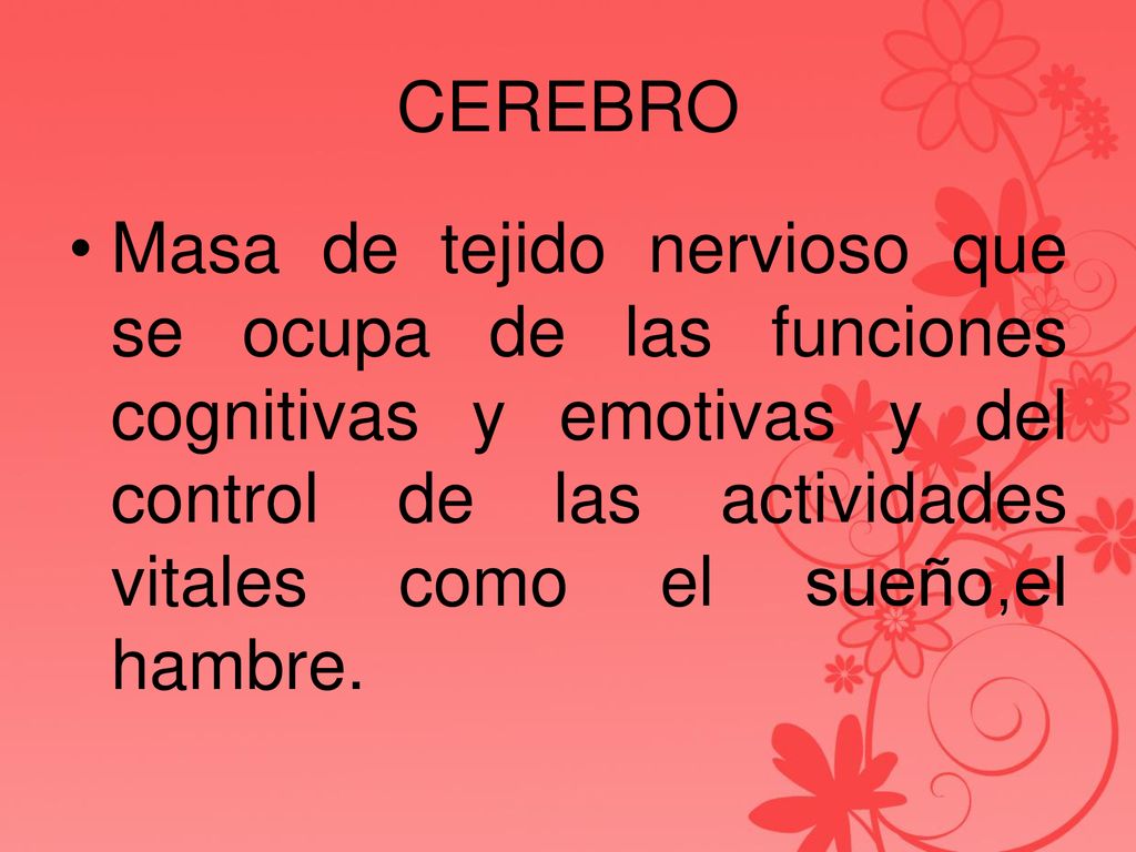 CEREBRO Masa de tejido nervioso que se ocupa de las funciones cognitivas y emotivas y del control de las actividades vitales como el sueño,el hambre.