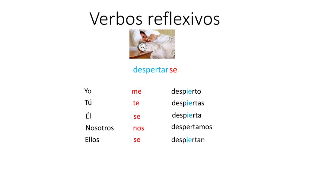 Verbos reflexivos despertar se Yo me despierto Tú te despiertas Él se