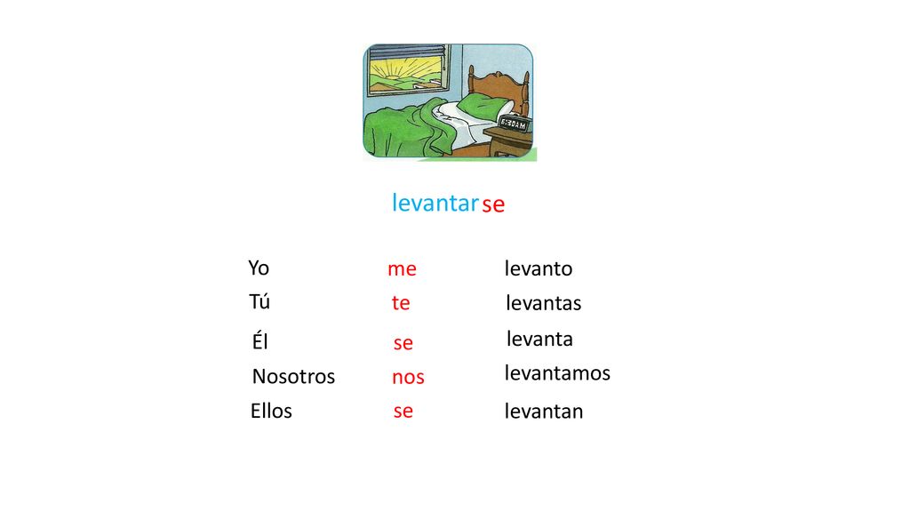 levantar se Yo me levanto Tú te levantas Él se levanta Nosotros nos
