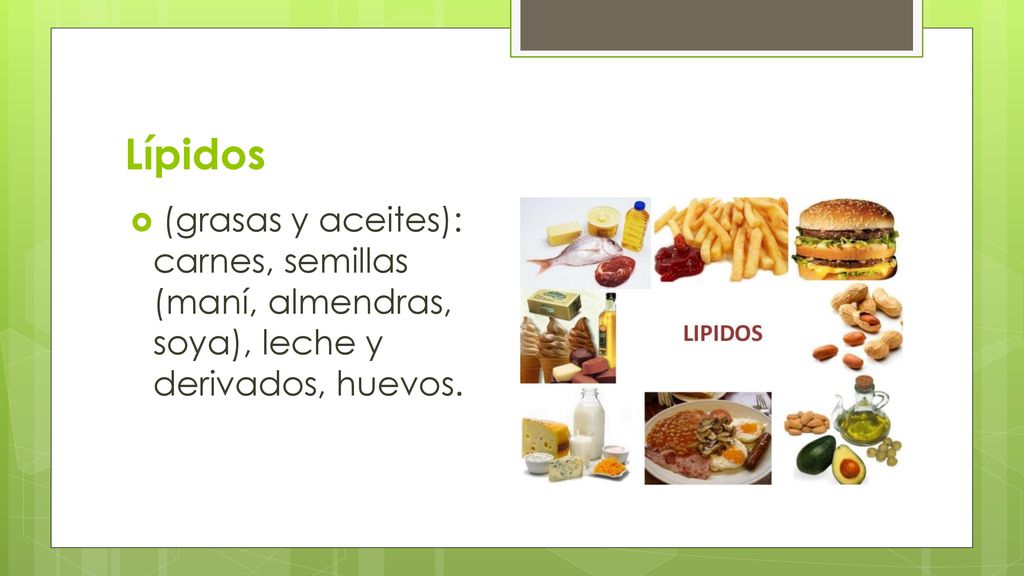 Lípidos (grasas y aceites): carnes, semillas (maní, almendras, soya), leche y derivados, huevos.