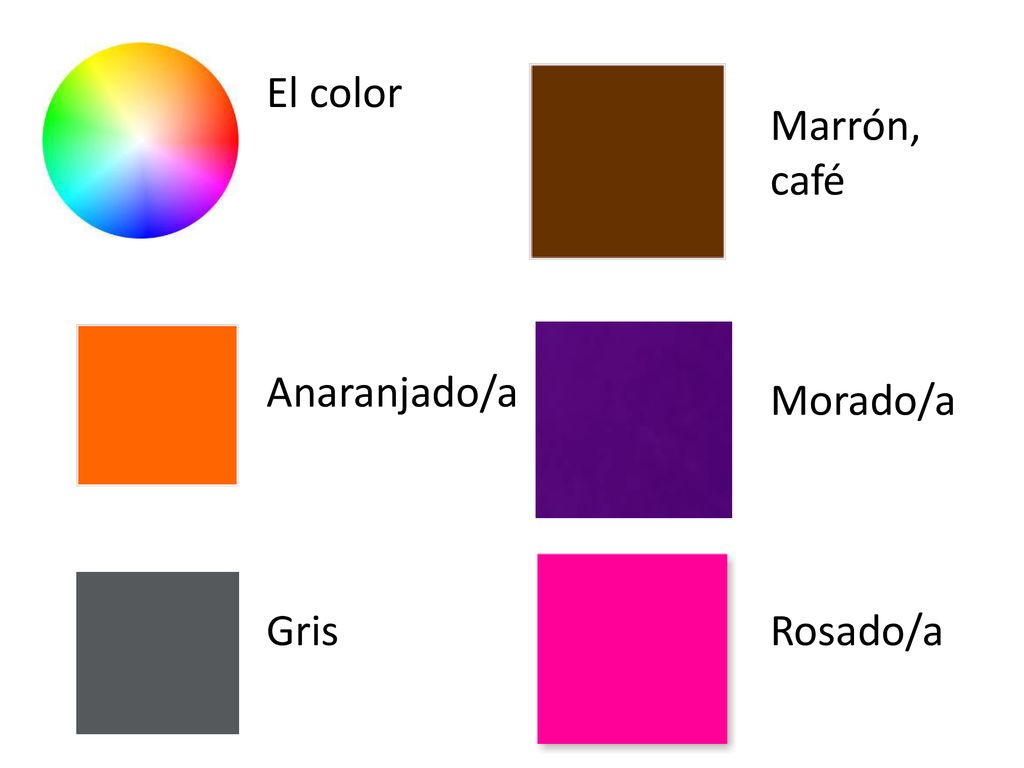 El color Marrón, café Anaranjado/a Morado/a Gris Rosado/a