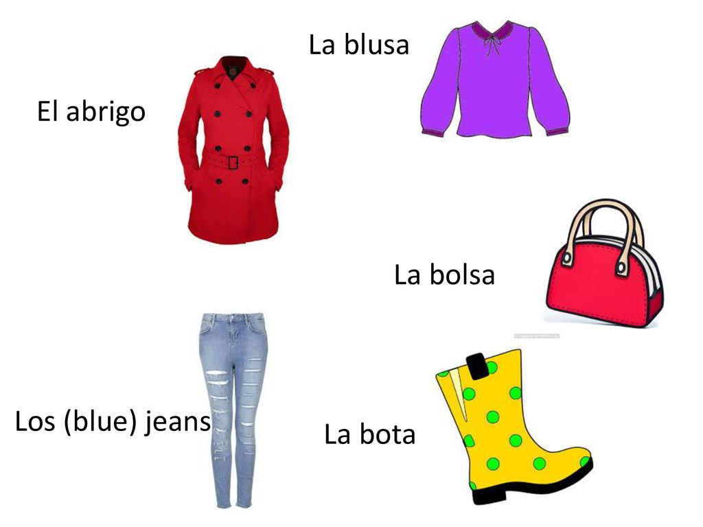 La blusa El abrigo La bolsa Los (blue) jeans La bota