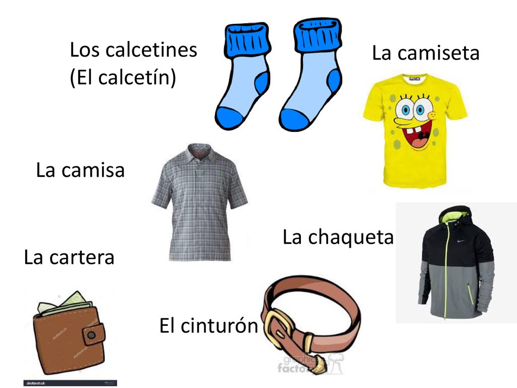 Los calcetines (El calcetín) La camiseta La camisa La chaqueta La cartera El cinturón