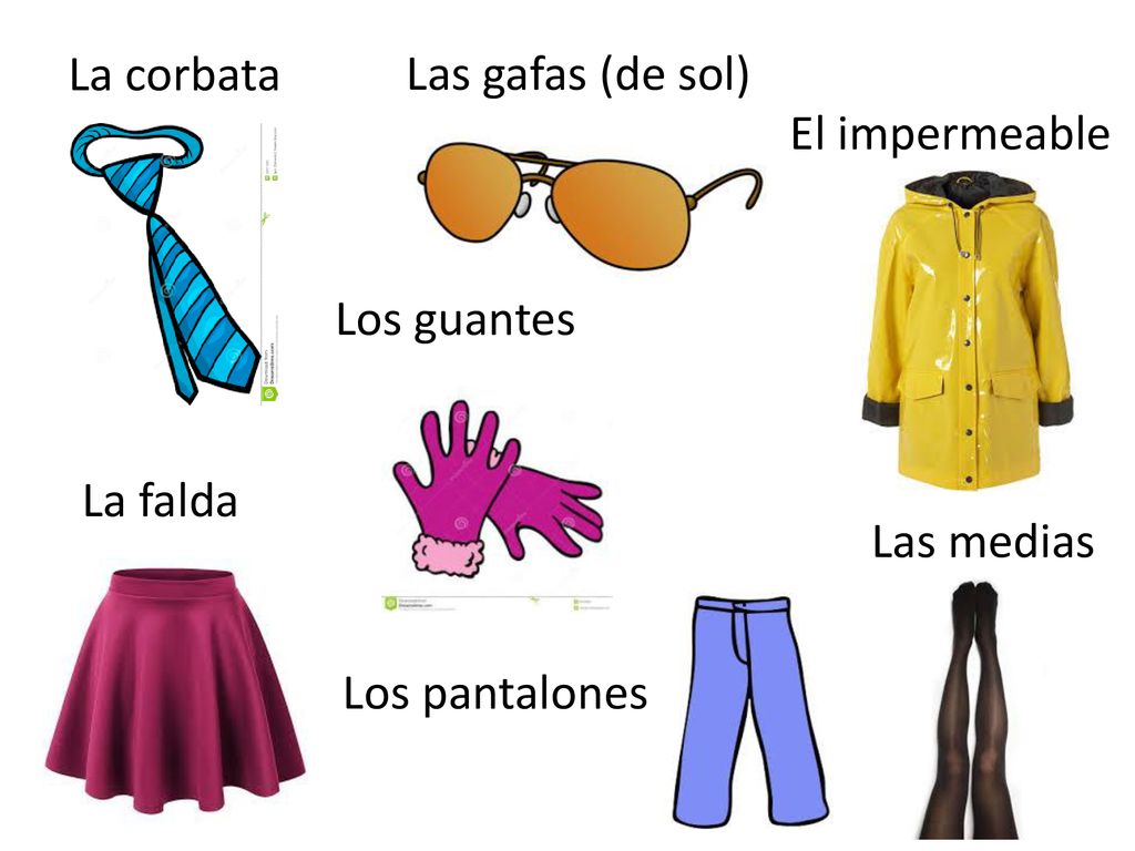 La corbata Las gafas (de sol) El impermeable Los guantes La falda Las medias Los pantalones