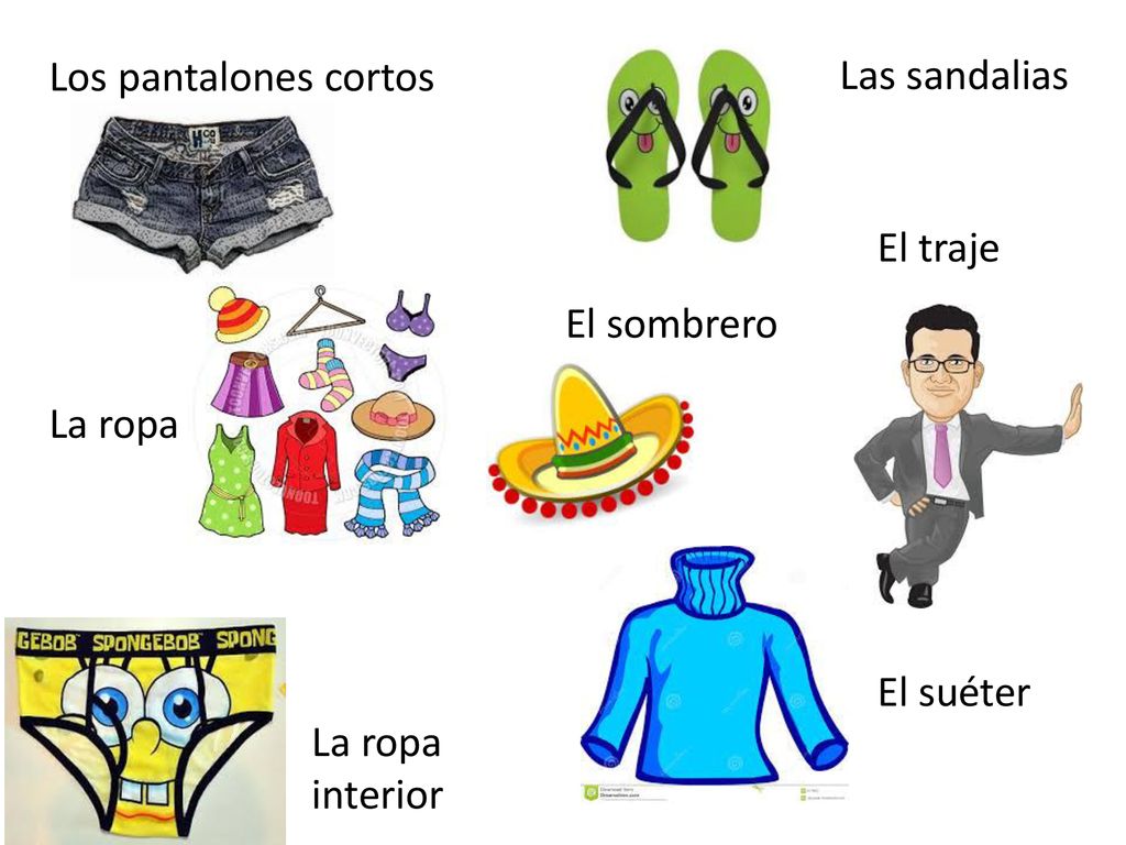 Los pantalones cortos Las sandalias El traje El sombrero La ropa El suéter La ropa interior