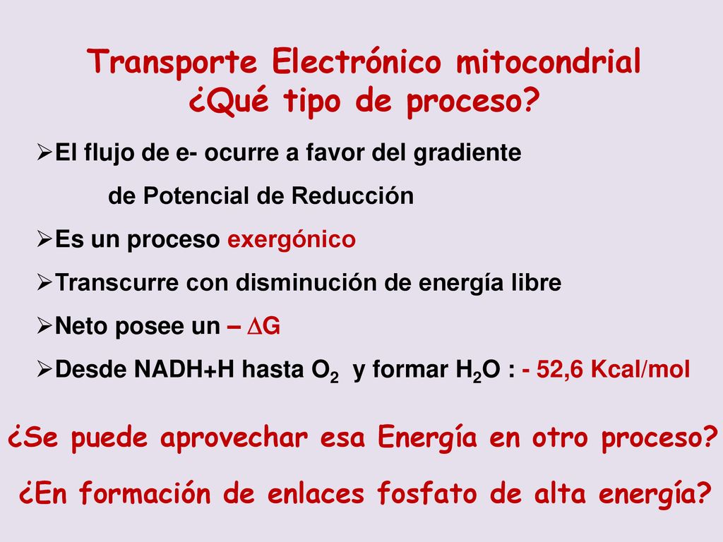 Transporte Electrónico mitocondrial ¿Qué tipo de proceso