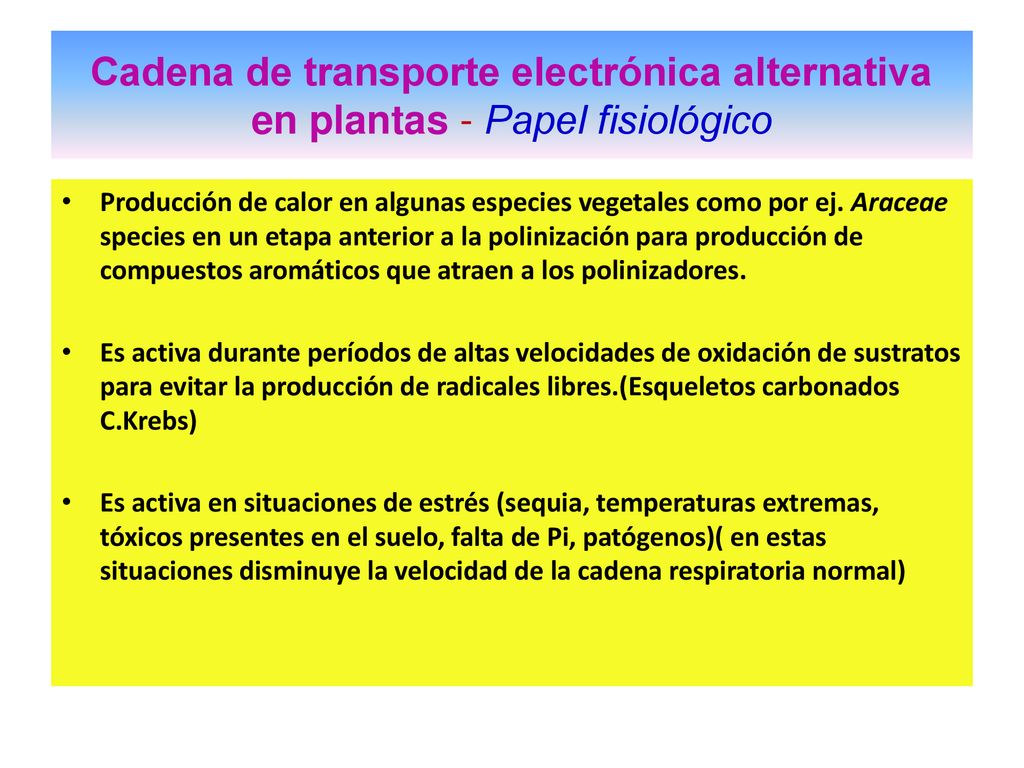 Cadena de transporte electrónica alternativa en plantas - Papel fisiológico
