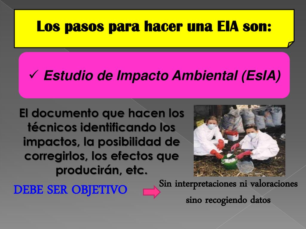 DEBE SER OBJETIVO Los pasos para hacer una EIA son: