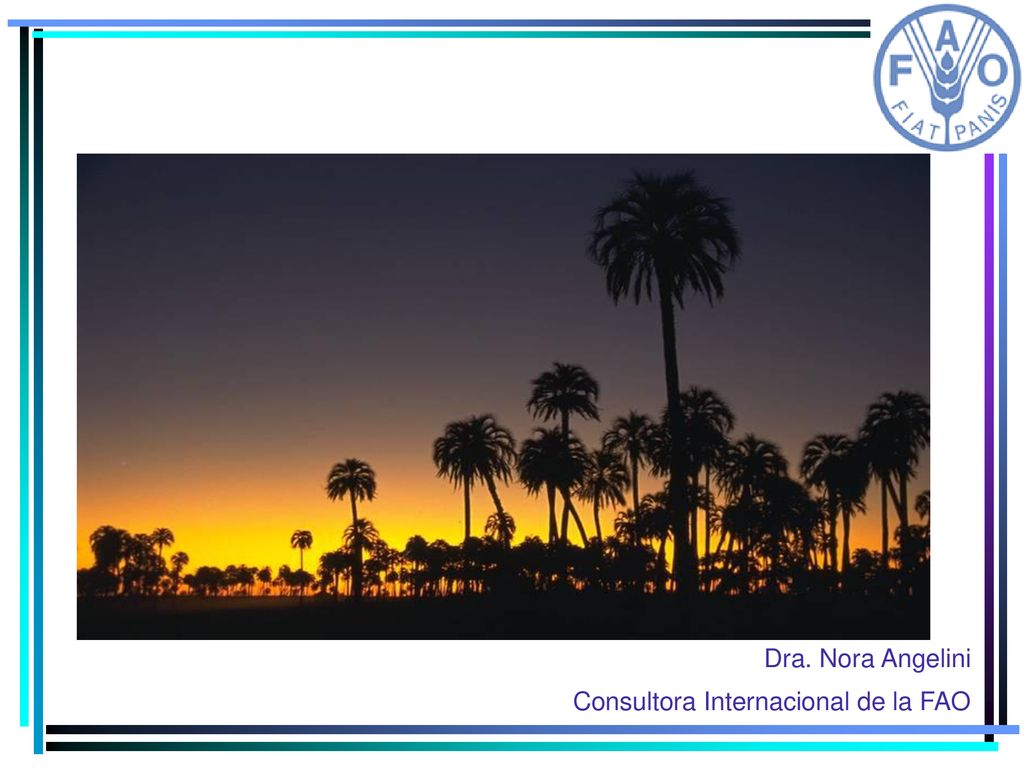 Dra. Nora Angelini Consultora Internacional de la FAO