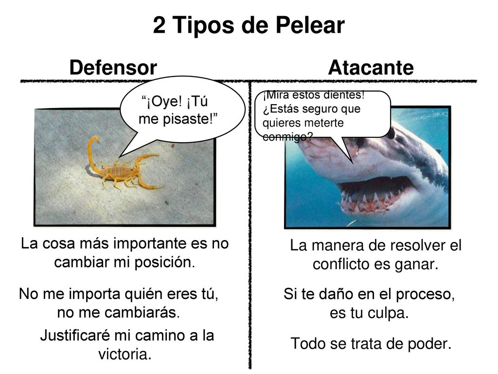 2 Tipos de Pelear Defensor Atacante