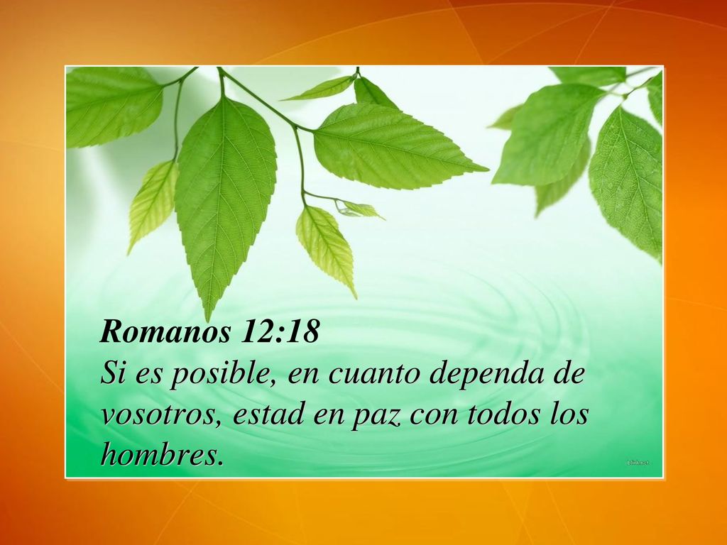 Romanos 12:18 Si es posible, en cuanto dependa de vosotros, estad en paz con todos los hombres.