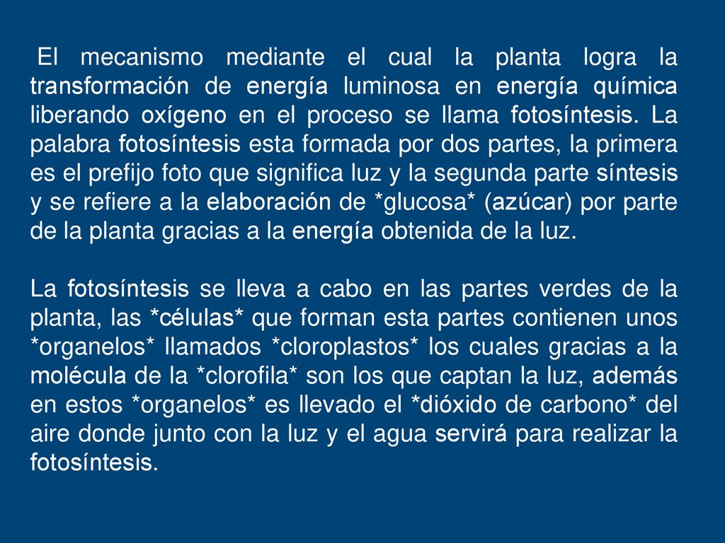 El mecanismo mediante el cual la planta logra la transformación de energía luminosa en energía química liberando oxígeno en el proceso se llama fotosíntesis. La palabra fotosíntesis esta formada por dos partes, la primera es el prefijo foto que significa luz y la segunda parte síntesis y se refiere a la elaboración de *glucosa* (azúcar) por parte de la planta gracias a la energía obtenida de la luz.
