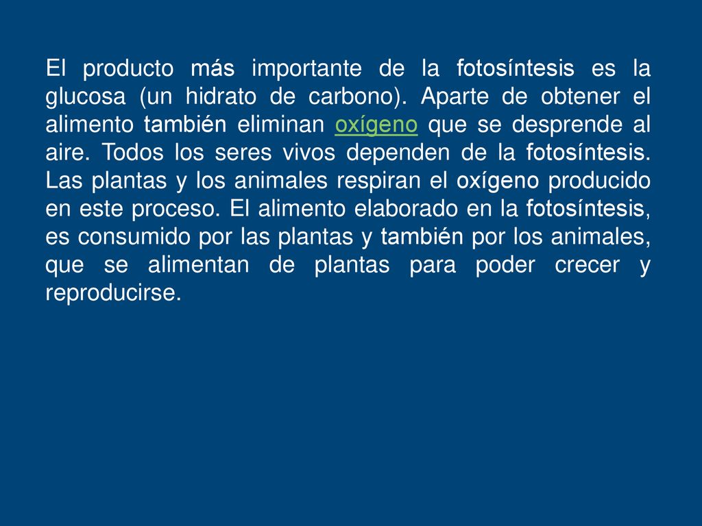 El producto más importante de la fotosíntesis es la glucosa (un hidrato de carbono).