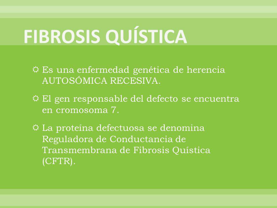FIBROSIS QUÍSTICA Es una enfermedad genética de herencia AUTOSÓMICA RECESIVA. El gen responsable del defecto se encuentra en cromosoma 7.