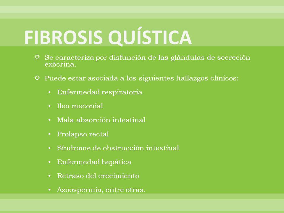 FIBROSIS QUÍSTICA Se caracteriza por disfunción de las glándulas de secreción exócrina. Puede estar asociada a los siguientes hallazgos clínicos: