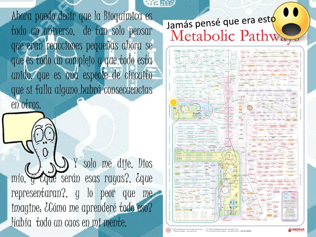 Ahora puedo decir que la Bioquímica es todo un universo, de tan solo pensar que eran reacciones pequeñas ahora se que es todo un complejo y que todo esta unido, que es una especie de circuito que si falla alguno habrá consecuencias en otros.