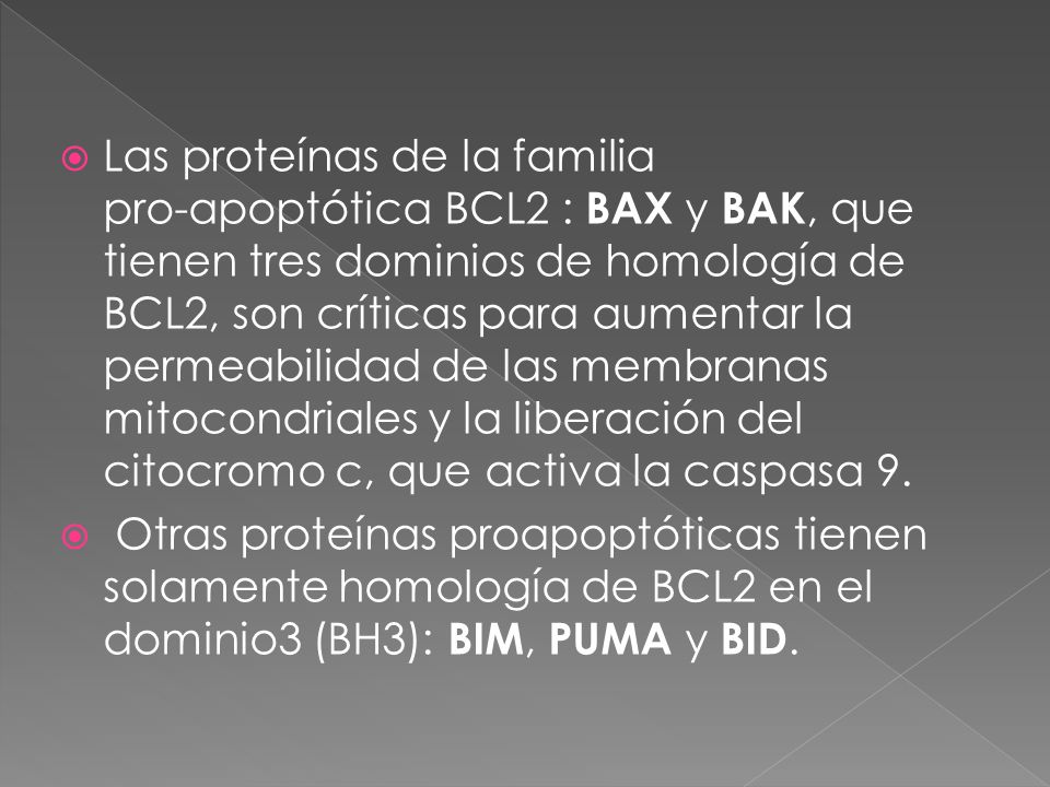 Las proteínas de la familia pro-apoptótica BCL2 : BAX y BAK, que tienen tres dominios de homología de BCL2, son críticas para aumentar la permeabilidad de las membranas mitocondriales y la liberación del citocromo c, que activa la caspasa 9.