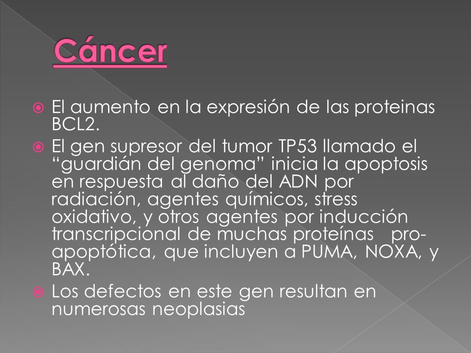 Cáncer El aumento en la expresión de las proteinas BCL2.