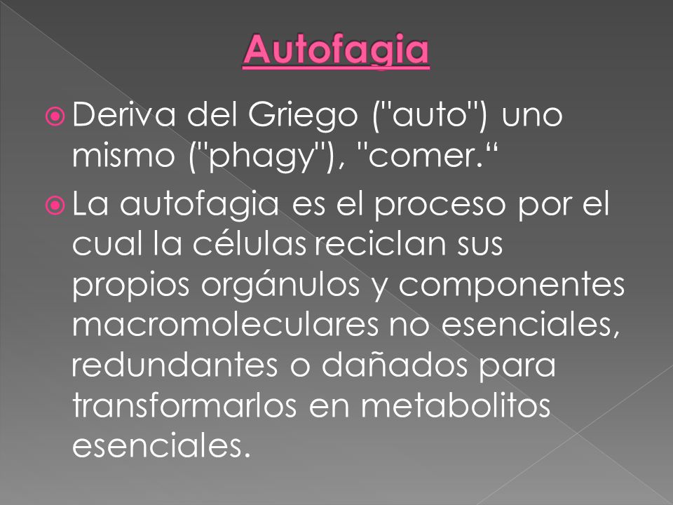 Autofagia Deriva del Griego ( auto ) uno mismo ( phagy ), comer.
